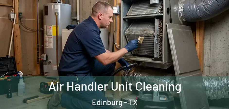 Air Handler Unit Cleaning Edinburg - TX