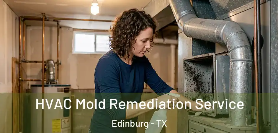  HVAC Mold Remediation Service Edinburg - TX