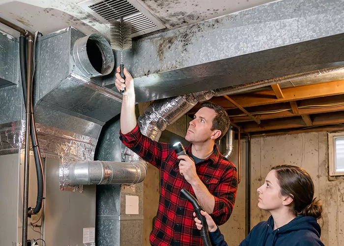 Premier HVAC Mold Remediation Company in Edinburg